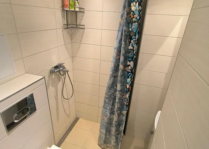 Tartu Tänava Külaliskorter Apartamento *